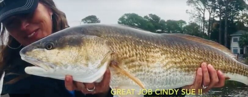 attachment-5e10918661391f1a3c49ebca a person holding a fish