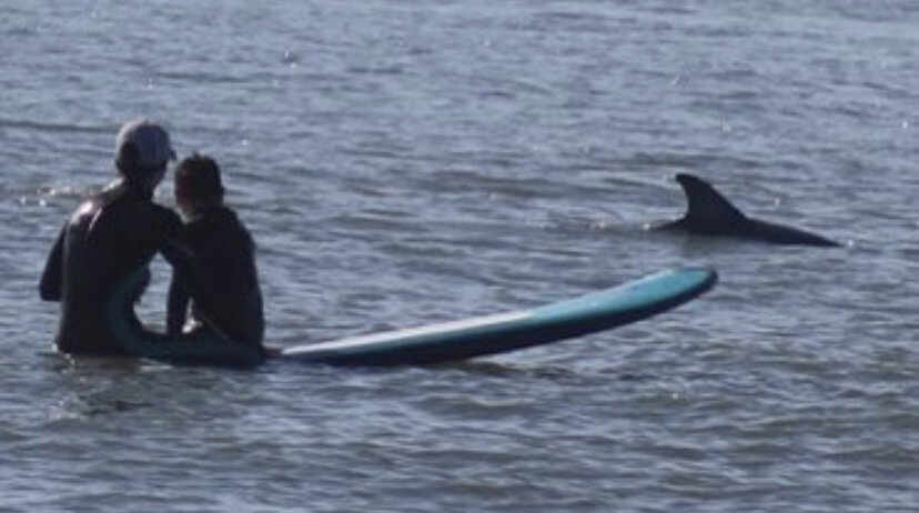 a group of people standing next to a body of water