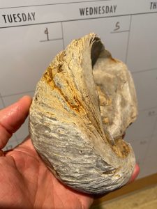 a close up of a hand
