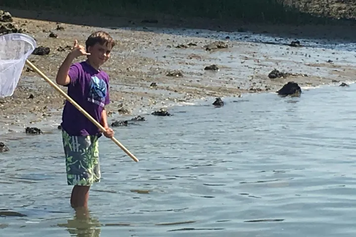 a person standing on a beach