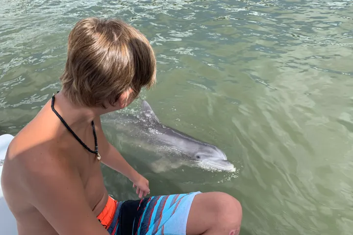 a person sitting next to a body of water with dolphins