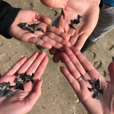 a group of people on a beach