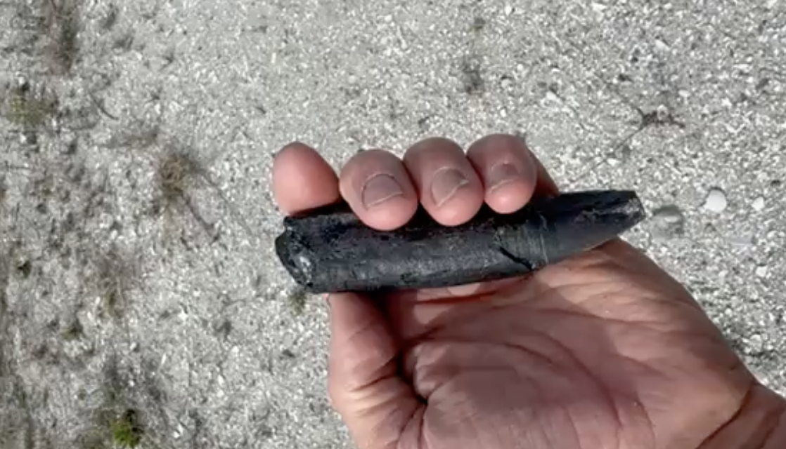 Hand holding a dark, weathered object against a gravelly background.